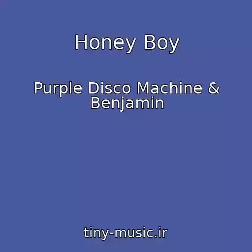 کاور آهنگ Honey Boy از Purple Disco Machine & Benjamin