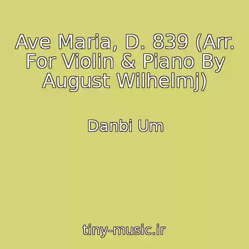 کاور آهنگ Ave Maria, D. 839 (Arr. For Violin & Piano By August Wilhelmj) از Danbi Um