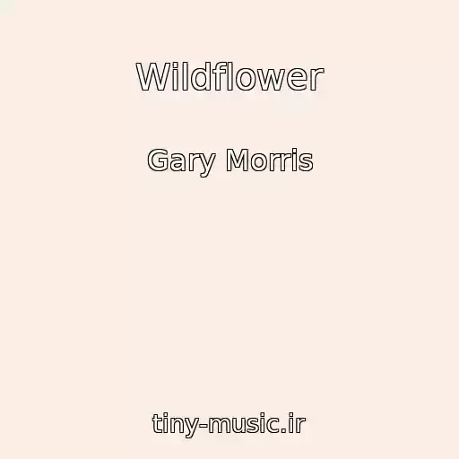 کاور آهنگ Wildflower از Gary Morris