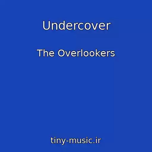 کاور آهنگ Undercover از The Overlookers