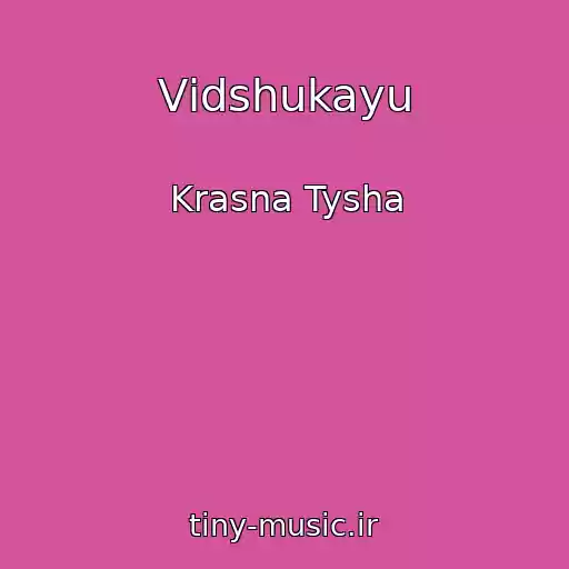 کاور آهنگ Vіdshukayu از Krasna Tysha