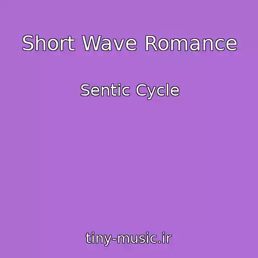 کاور آهنگ Short Wave Romance از Sentic Cycle