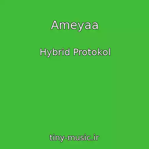 کاور آهنگ Ameyaa از Hybrid Protokol