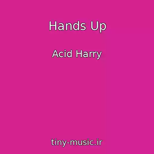 کاور آهنگ Hands Up از Acid Harry