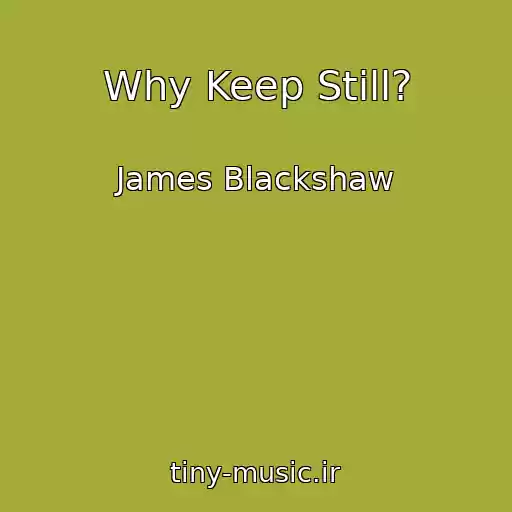 کاور آهنگ Why Keep Still? از James Blackshaw