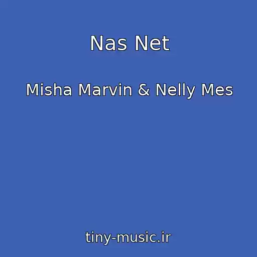 کاور آهنگ Nas Net از Misha Marvin & Nelly Mes