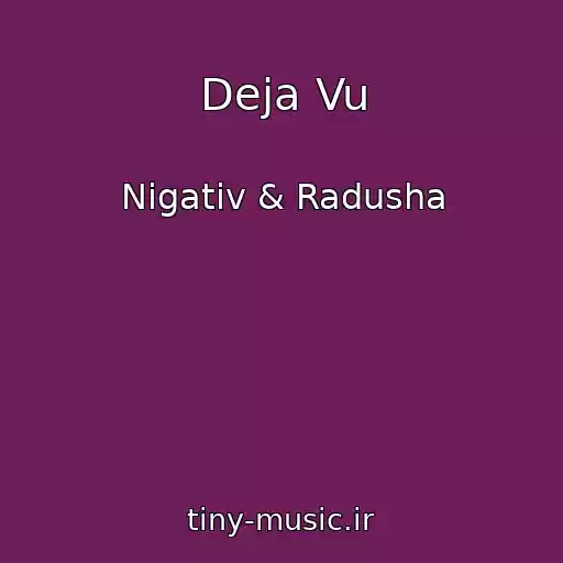 کاور آهنگ Deja Vu از Nigativ & Radusha