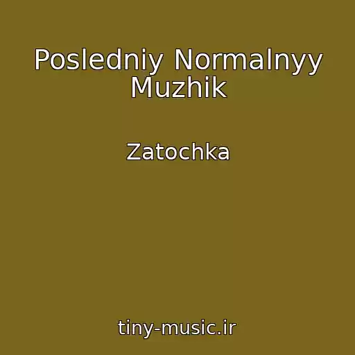 کاور آهنگ Posledniy Normalnyy Muzhik از Zatochka