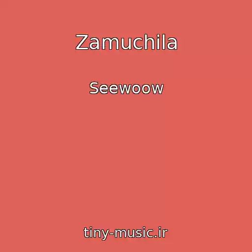کاور آهنگ Zamuchila از Seewoow