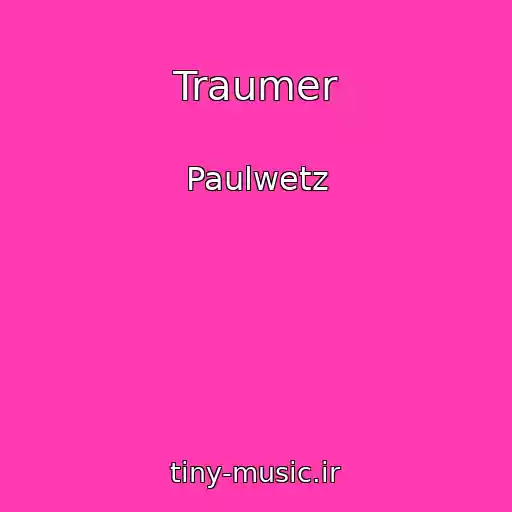 کاور آهنگ Traumer از Paulwetz