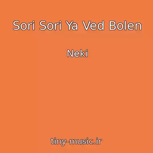 کاور آهنگ Sori Sori Ya Ved Bolen از Neki