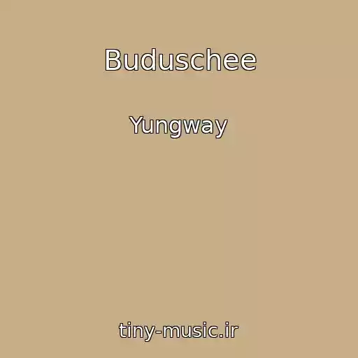 کاور آهنگ Buduschee از Yungway