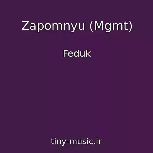 کاور آهنگ Zapomnyu (Mgmt) از Feduk