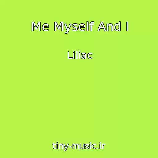 کاور آهنگ Me Myself And I از Liliac