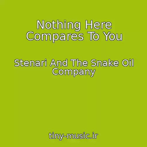 کاور آهنگ Nothing Here Compares To You از Stenari And The Snake Oil Company