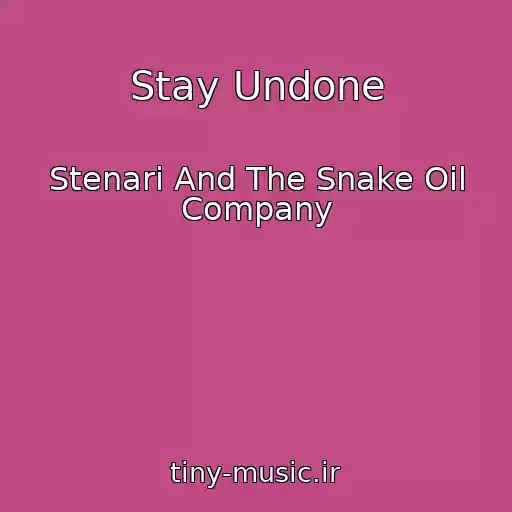 کاور آهنگ Stay Undone از Stenari And The Snake Oil Company