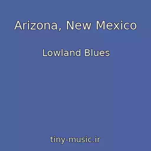 کاور آهنگ Arizona, New Mexico از Lowland Blues