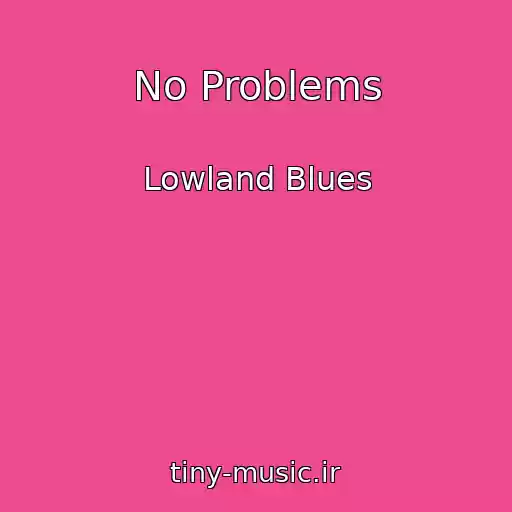 کاور آهنگ No Problems از Lowland Blues