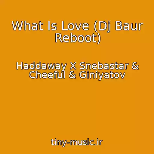 کاور آهنگ What Is Love (Dj Baur Reboot) از Haddaway X Snebastar & Cheeful & Giniyatov