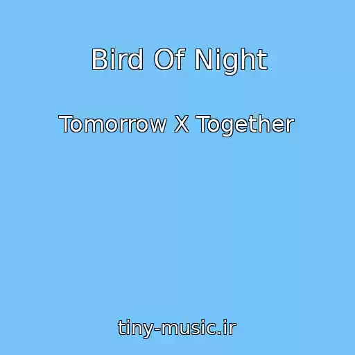 کاور آهنگ Bird Of Night از Tomorrow X Together