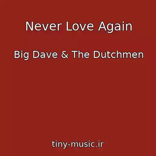 کاور آهنگ Never Love Again از Big Dave & The Dutchmen