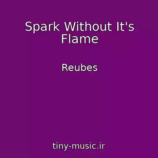 کاور آهنگ Spark Without It's Flame از Reubes