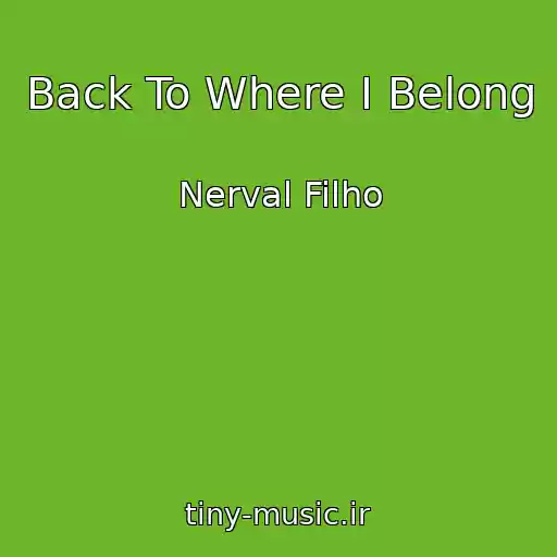 کاور آهنگ Back To Where I Belong از Nerval Filho