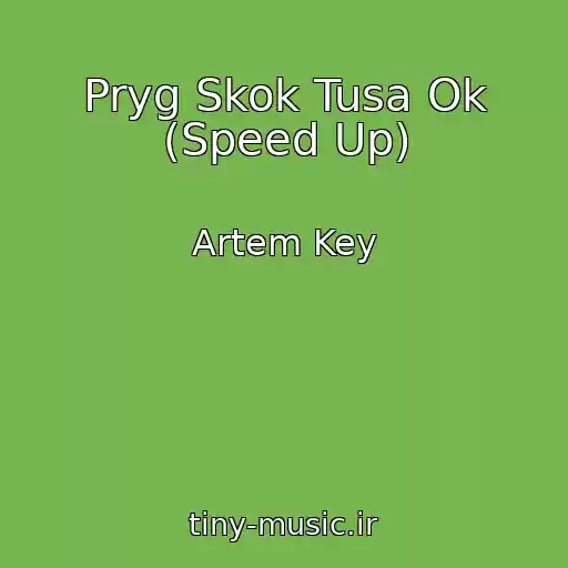 کاور آهنگ Pryg Skok Tusa Ok (Speed Up) از Artem Key