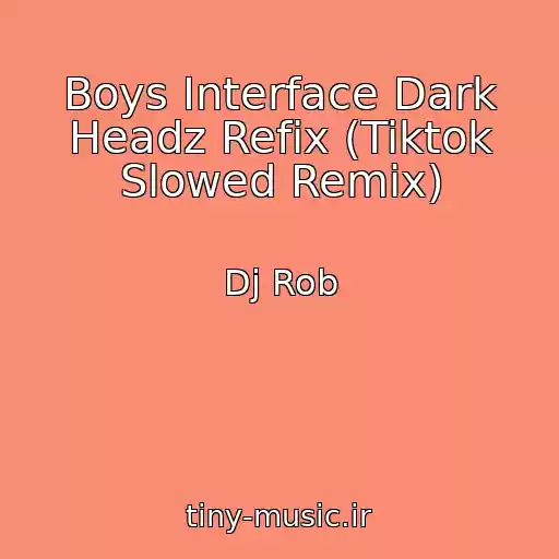 کاور آهنگ Boys Interface Dark Headz Refix (Tiktok Slowed Remix) از Dj Rob