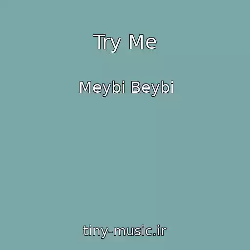 کاور آهنگ Try Me از Meybi Beybi