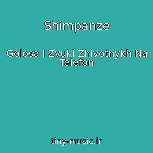 کاور آهنگ Shimpanze از Golosa I Zvuki Zhivotnykh Na Telefon