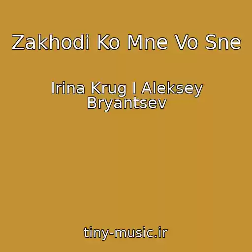 کاور آهنگ Zakhodi Ko Mne Vo Sne از Irina Krug I Aleksey Bryantsev