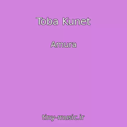کاور آهنگ Toba Kunet از Amura