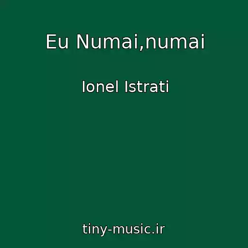 کاور آهنگ Eu Numai,numai از Ionel Istrati