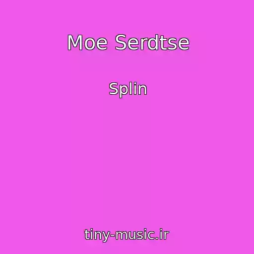 کاور آهنگ Moe Serdtse از Splin