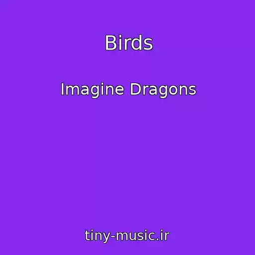 کاور آهنگ Birds از Imagine Dragons