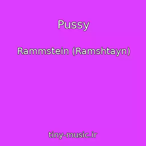 کاور آهنگ Pussy از Rammstein (Ramshtayn)