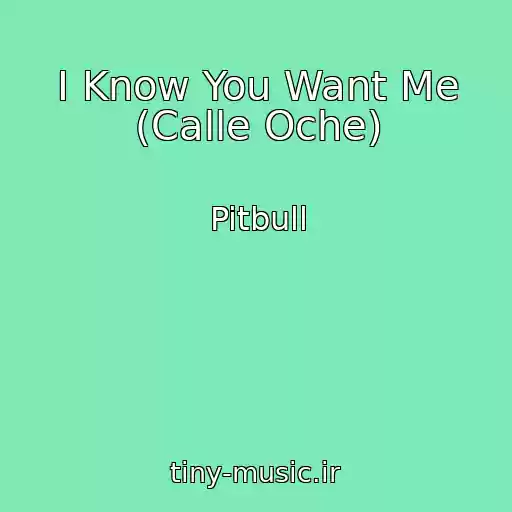کاور آهنگ I Know You Want Me (Calle Oche) از Pitbull