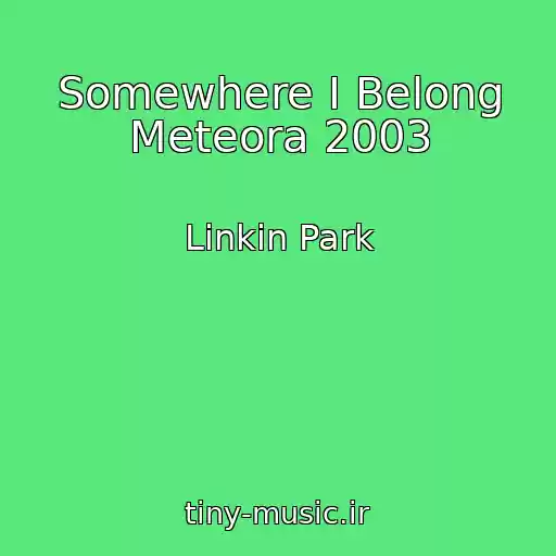 کاور آهنگ Somewhere I Belong Meteora 2003 از Linkin Park