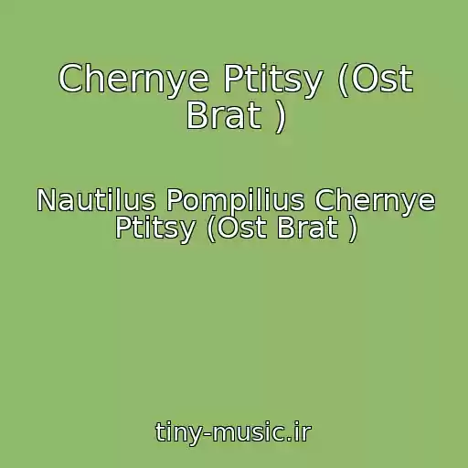 کاور آهنگ Chernye Ptitsy (Ost Brat ) از Nautilus Pompilius Chernye Ptitsy (Ost Brat )