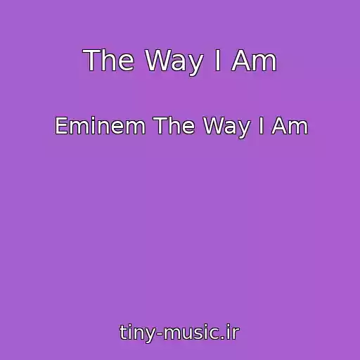 کاور آهنگ The Way I Am از Eminem The Way I Am