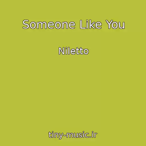 کاور آهنگ Someone Like You از Niletto