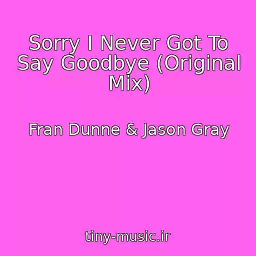 کاور آهنگ Sorry I Never Got To Say Goodbye (Original Mix) از Fran Dunne & Jason Gray