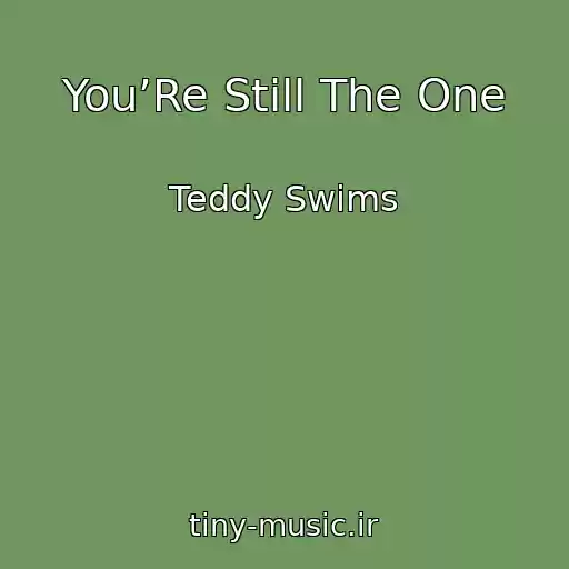 کاور آهنگ You’Re Still The One از Teddy Swims
