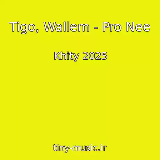 کاور آهنگ Tigo, Wallem - Pro Nee از Khity 2025