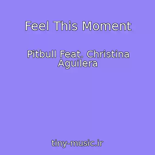کاور آهنگ Feel This Moment از Pitbull Feat. Christina Aguilera