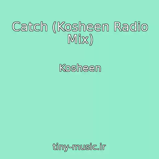 کاور آهنگ Catch (Kosheen Radio Mix) از Kosheen