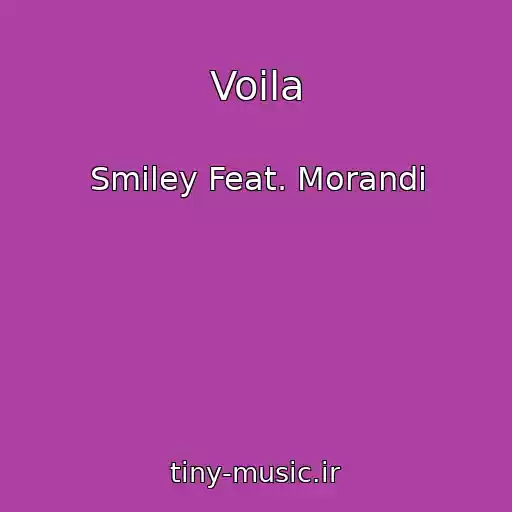 کاور آهنگ Voila از Smiley Feat. Morandi