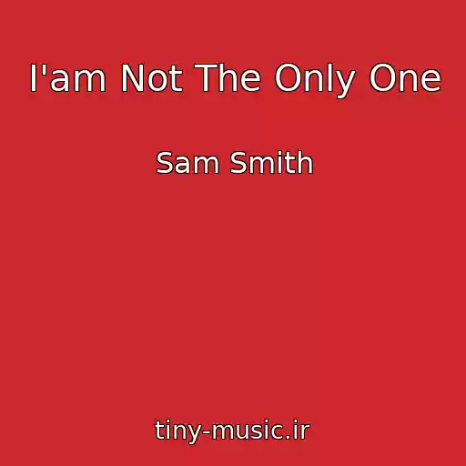 کاور آهنگ I'am Not The Only One از Sam Smith