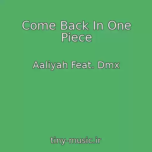 کاور آهنگ Come Back In One Piece از Aaliyah Feat. Dmx